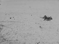 Julie Dans Son Manteau Blanc