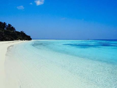 3e499654 Appel au voyage avec VitaOcéan