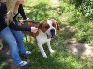 Appelez-moi Brigitte.