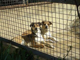 Appelez-moi Brigitte.
