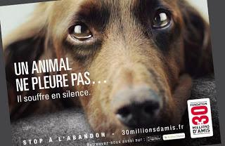 Appelez-moi Brigitte.