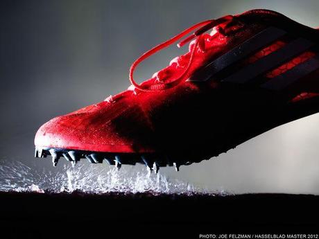 Hasselblad Masters 2012, le livre