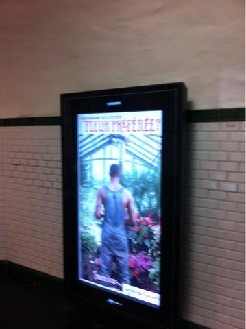 Campagne la joie des fleurs