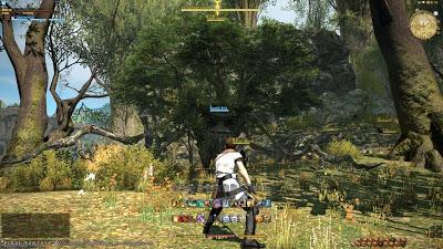 Final Fantasy XIV version PS3: premiers visuels