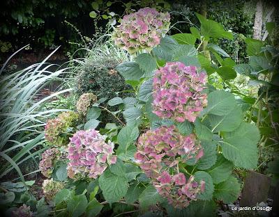 Petite pause, cette semaine, pour causes d' intempéries.....