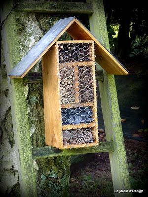 Petite pause, cette semaine, pour causes d' intempéries.....