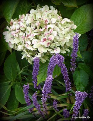 Petite pause, cette semaine, pour causes d' intempéries.....