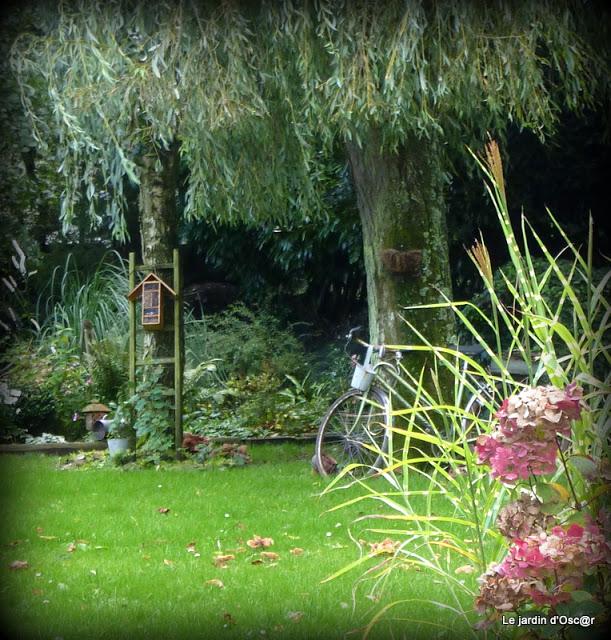 Petite pause, cette semaine, pour causes d' intempéries.....