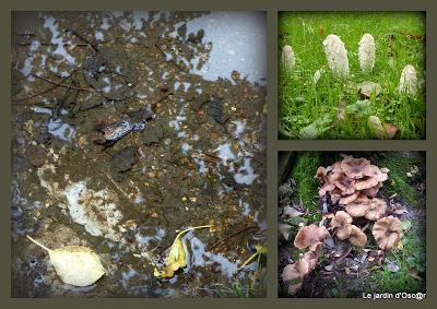 Petite pause, cette semaine, pour causes d' intempéries.....