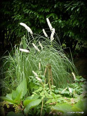 Petite pause, cette semaine, pour causes d' intempéries.....