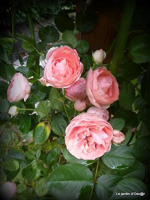 Petite pause, cette semaine, pour causes d' intempéries.....