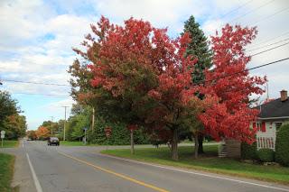 Les couleurs de l’automne à Deux-Montagnes