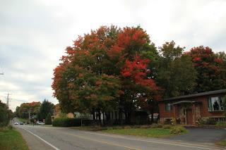 Les couleurs de l’automne à Deux-Montagnes