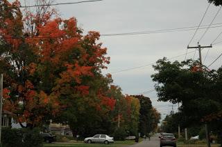 Les couleurs de l’automne à Deux-Montagnes