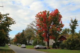 Les couleurs de l’automne à Deux-Montagnes