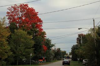 Les couleurs de l’automne à Deux-Montagnes