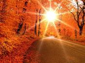 Dans deux semaines serai rousse