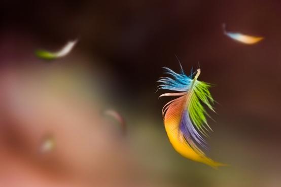 Ma 1ere visite chez l’allergologue