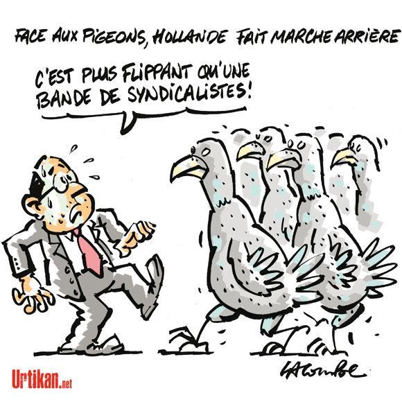 Actualité vue par les dessinateurs