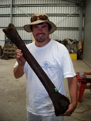Le paléontologue Michael Bunce tient un os de moa, oiseau géant de Nouvelle-Zélande aujourd'hui disparu.