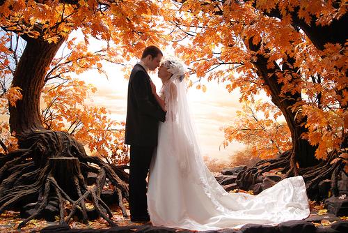 Inspiration mariage d’automne