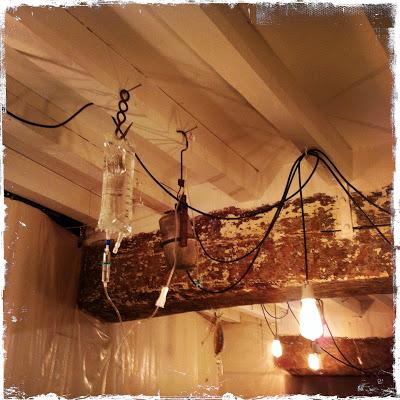 LA FEMME INSECTE DE SANDRINE PHILIPPE