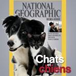 National Geographic – “Chats et chiens” en Kiosque