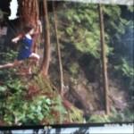 Une tonne de nouvelles photos de Breaking Dawn part 2