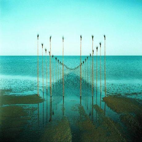 Nils-Udo, Nils-Udo, un artiste lâché dans la nature