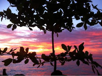 CARNET DE VOYAGE / GUADELOUPE 2012