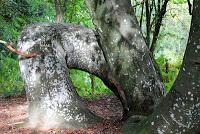 Ambiance feuilles mortes