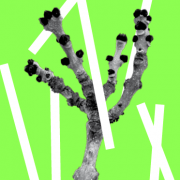 Festival JARDINS SYNTHÉTIQUES « À la croisée des temps, les Arts »  2012