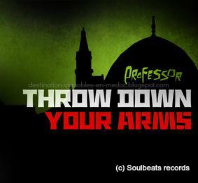 Reggae Sun Ska : après l'affluence record de l'édition 2012, un DVD dans les bacs !