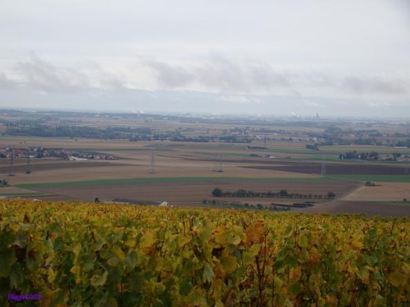 La photo du mois #24