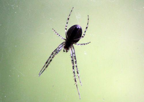 1 meta fil 15 oct 2012 047.jpg