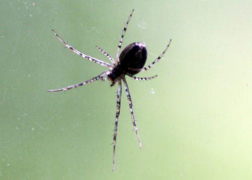 2 meta fil 15 oct 2012 090.jpg