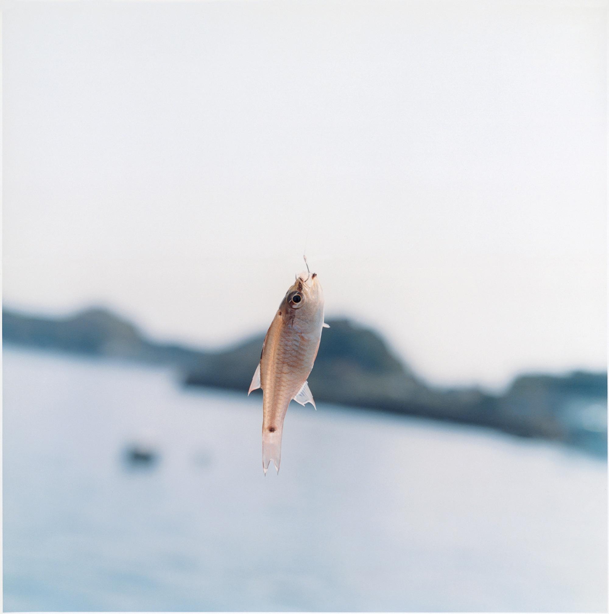 Rinko Kawauchi