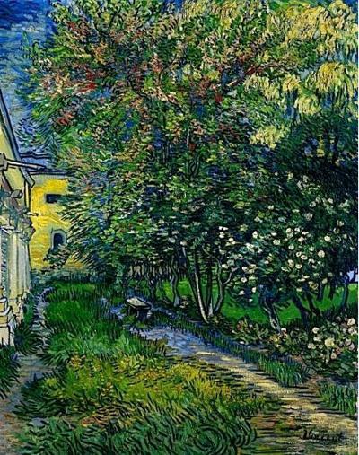 Van Gogh asile de saint remy