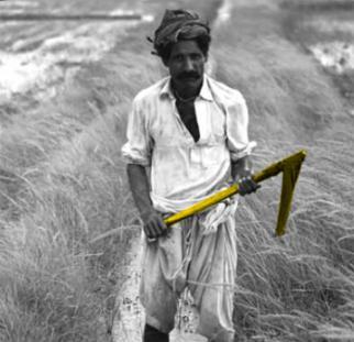 © ACF, L.Tomassini-Pakistan