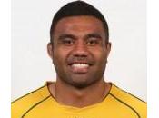 Wallabies pour affronter Blacks