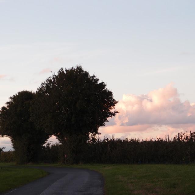 Dans les champs d'automne...