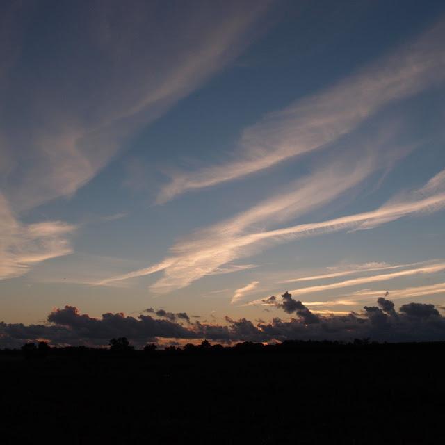 Dans les champs d'automne...