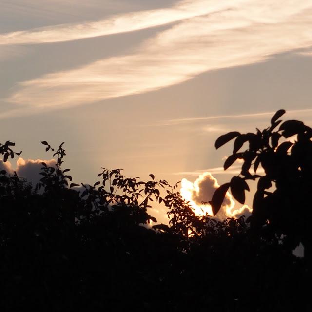 Dans les champs d'automne...