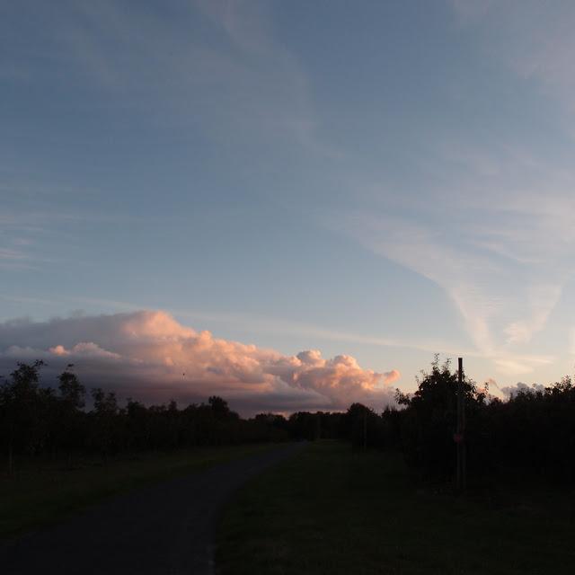 Dans les champs d'automne...