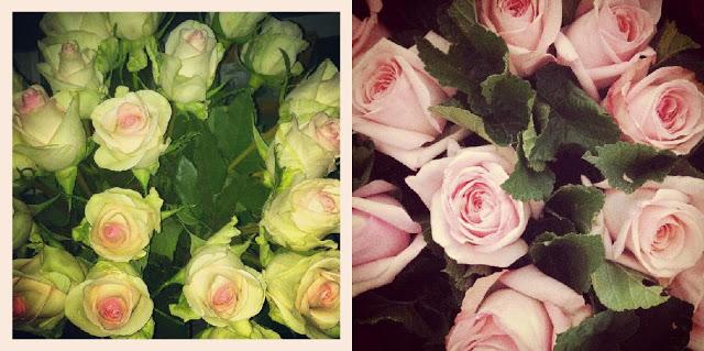 UNE VIE SOUS INSTAGRAM # 6