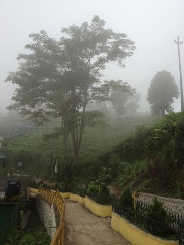 Terdav TWT Gréât Himalaya Trail: retour en image sur une mésaventure