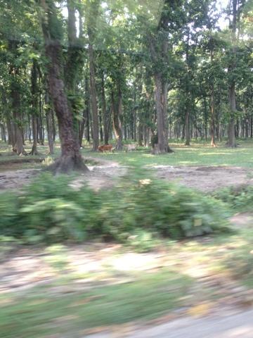 Terdav TWT Gréât Himalaya Trail: retour en image sur une mésaventure