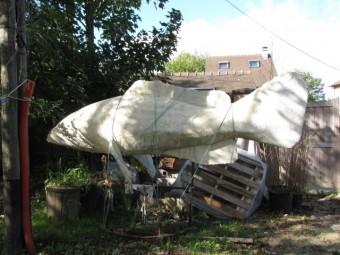 121017 Marée basse.jpg