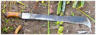 Autarcie mon amie - à Ezile Bay (du et des balais)!