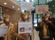 Après pigeons, patrons moutons